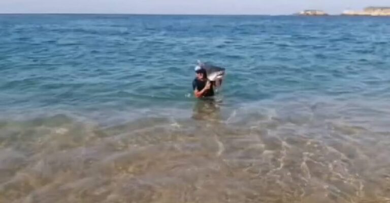 Pescador captura un tiburón tigre con sus propias manos en playa de Michoacán