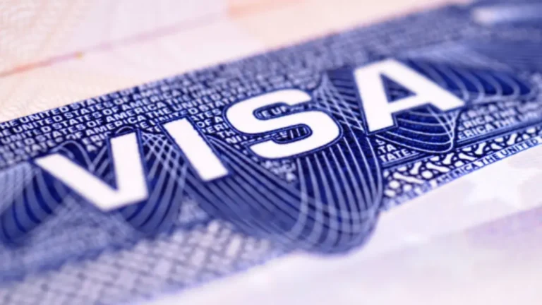 Trump ordena revisión masiva de visas: más de 55 millones de personas podrían verse afectadas