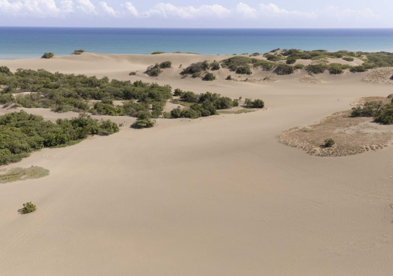 Academia de Ciencias rechaza reducción de límites en Dunas de Las Calderas