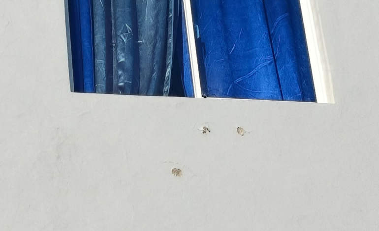 Tirotean residencia del alcalde de Navarrete; familia resulta ilesa tras ataque armado