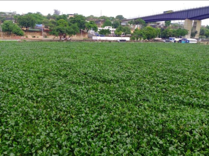 Captura de Pantalla 2025-11-06 a la(s) 3.51.13 p. m.