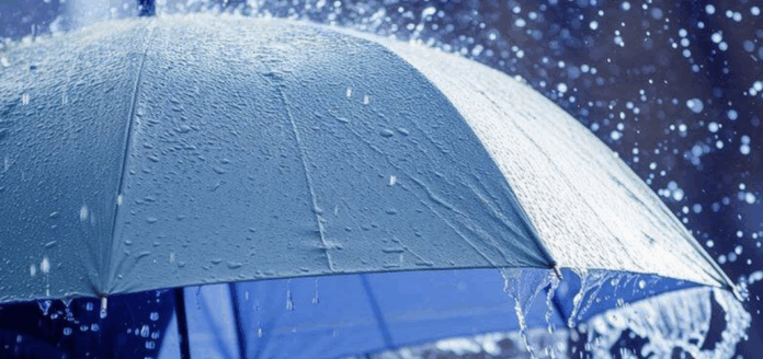 Captura de pantalla 2025-11-04 a la(s) 2.13.43 p. m.