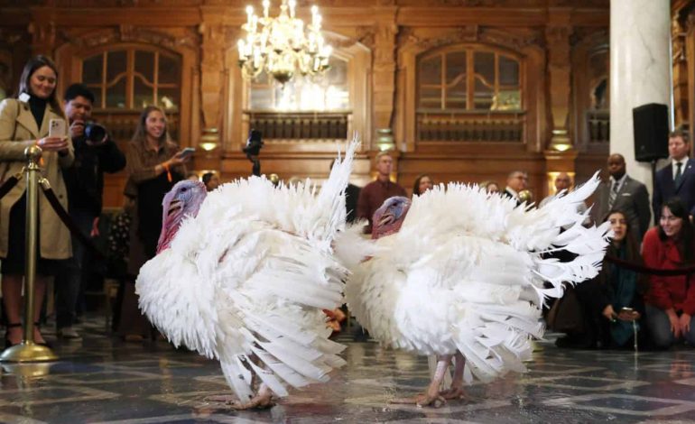 Trump indulta a “Gobble” y “Waddle”, los pavos estrella de Acción de Gracias