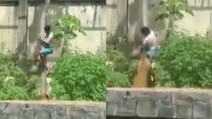 Joven muere tras ingresar a jaula de leona en zoológico de Brasil