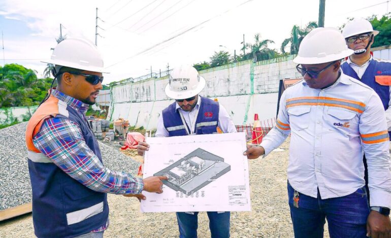 BID avala desempeño ambiental y social de proyectos eléctricos de Edesur