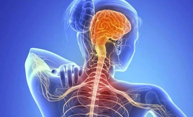 ¿Qué es la Esclerosis Lateral Amiotrófica (ELA)? Síntomas, causas, diagnóstico y tratamiento