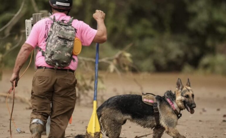 ¿Puede una persona ser condenada por homicidio sin cadáver ???