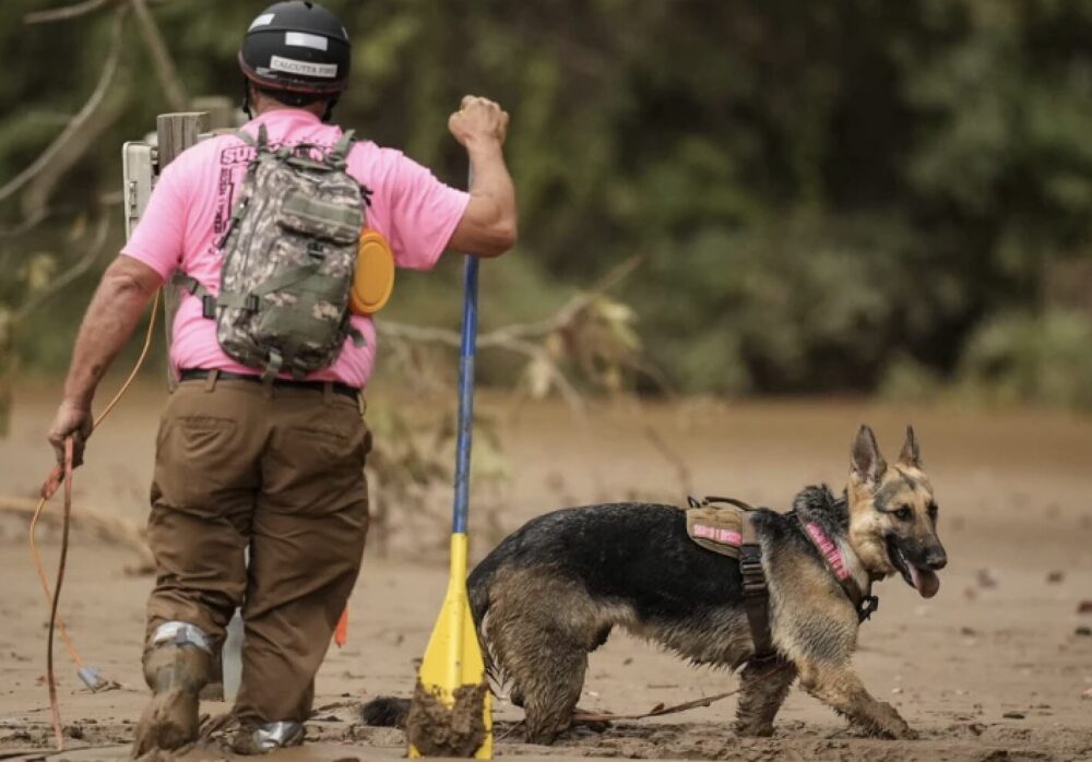 ¿Puede una persona ser condenada por homicidio sin cadáver ???