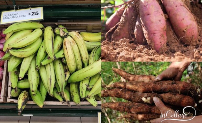 Golpe al bolsillo en 2026: disparan los precios de plátanos y víveres básicos en los mercados