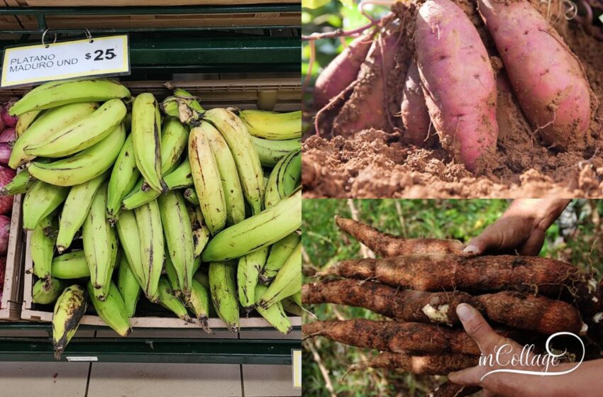 Golpe al bolsillo en 2026: disparan los precios de plátanos y víveres básicos en los mercados