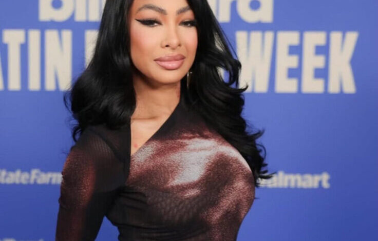 Fiscalía aplaza para el 29 de enero vista de conciliación por querella interpuesta por Yailin “La Más Viral”