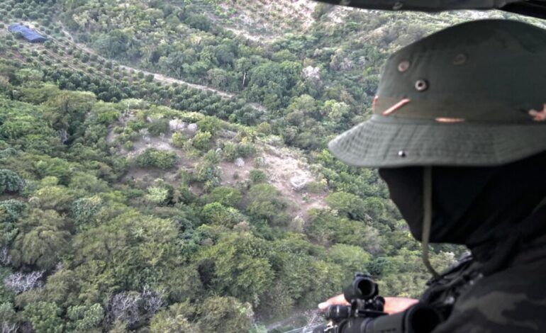 Operativo aéreo descubre siembra ilegal en Baní