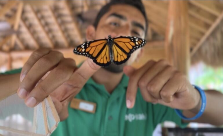 Fundación Eco-Bahía presenta resultados 2025 y refuerza la conservación ambiental en RD