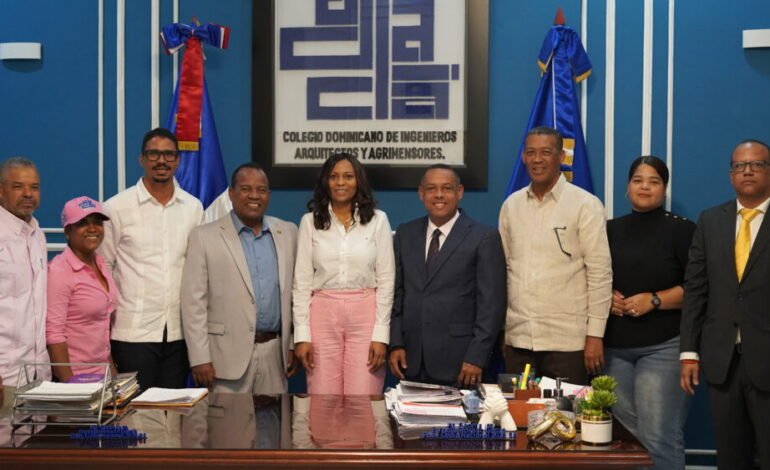 Ingeniera dominicana presenta modelo de ciudades inteligentes en el CODIA