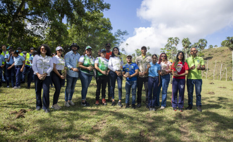 ISM supera los 35 mil árboles plantados con jornada de reforestación en Santiago Rodríguez