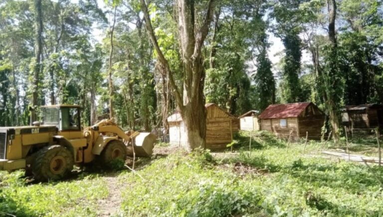 Nuevo Código Penal golpeará con fuerza a las redes de invasión de tierras