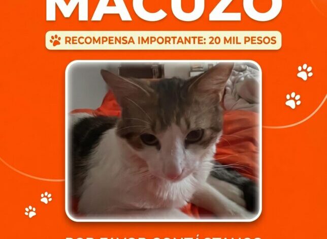 Buscan a “Macuzo” y ofrecen recompensa de RD$20,000