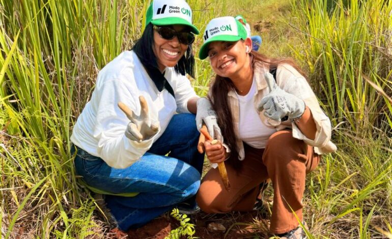 JMMB reforesta Loma Guaigüí con 1,000 árboles en La Vega