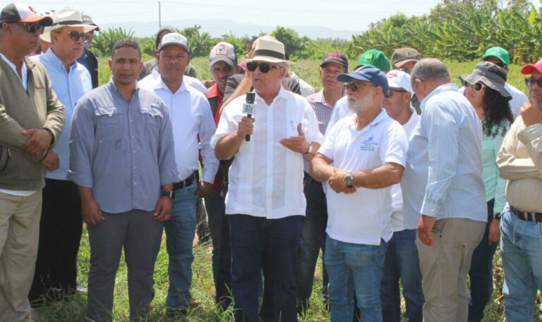 Agricultura inicia eliminación de cultivos hospederos de plagas en el Sur