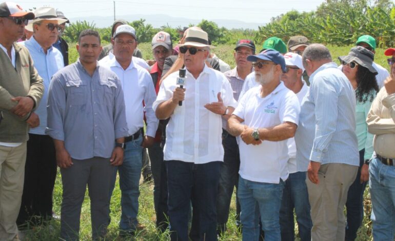 Agricultura inicia eliminación de cultivos hospederos de plagas en el Sur