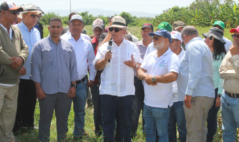 Agricultura inicia eliminación de cultivos hospederos de plagas en el Sur