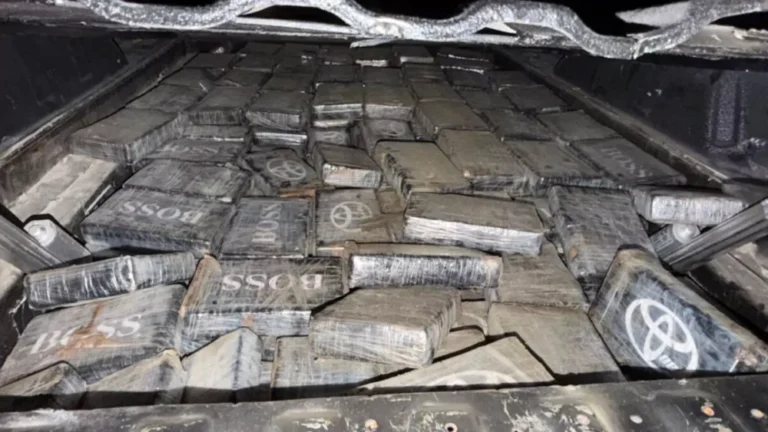 DNCD ocupa 237 paquetes de presunta cocaína en Santo Domingo; hay tres detenidos
