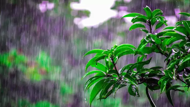 Indomet vigila disturbio que podría convertirse en depresión tropical