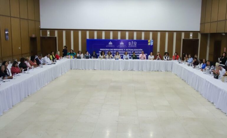 CONANI abre consulta para reformar Ley 136-03