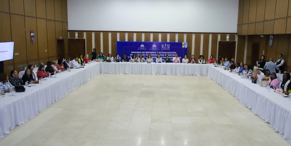 CONANI abre consulta para reformar Ley 136-03