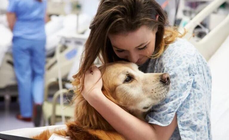 Perros de terapia mejoran la participación de pacientes en rehabilitación tras un ACV