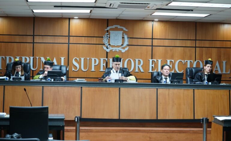 TSE aplaza demanda contra 33 partidos minoritarios
