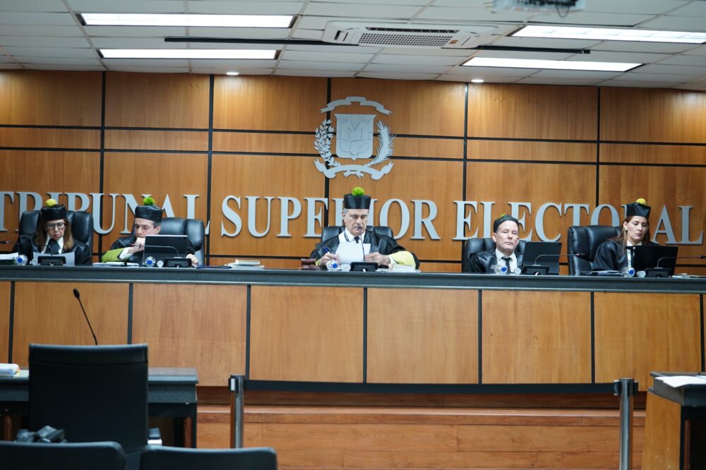 TSE aplaza demanda contra 33 partidos minoritarios