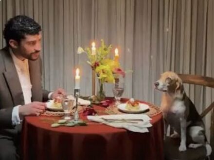 Bad Bunny y su perrita Sansa conquistan las redes con tierna sesión