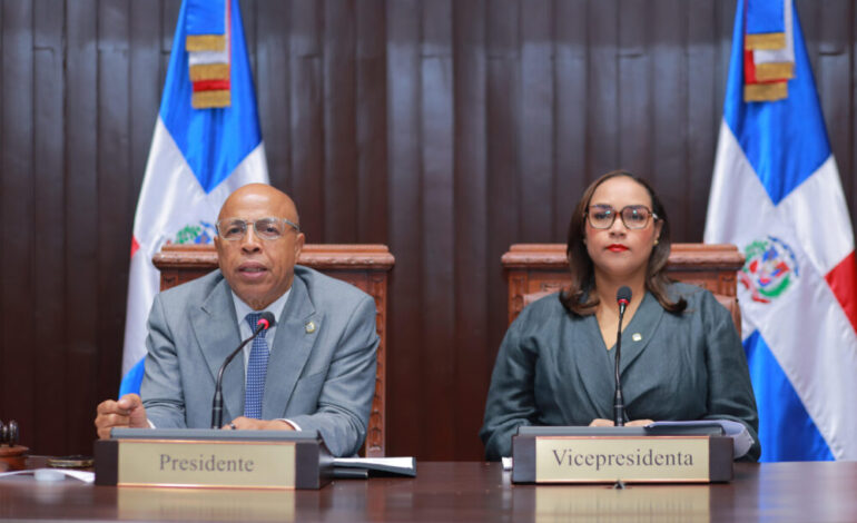 Diputados completan comisión bicameral para estudiar reforma orgánica de la Policía