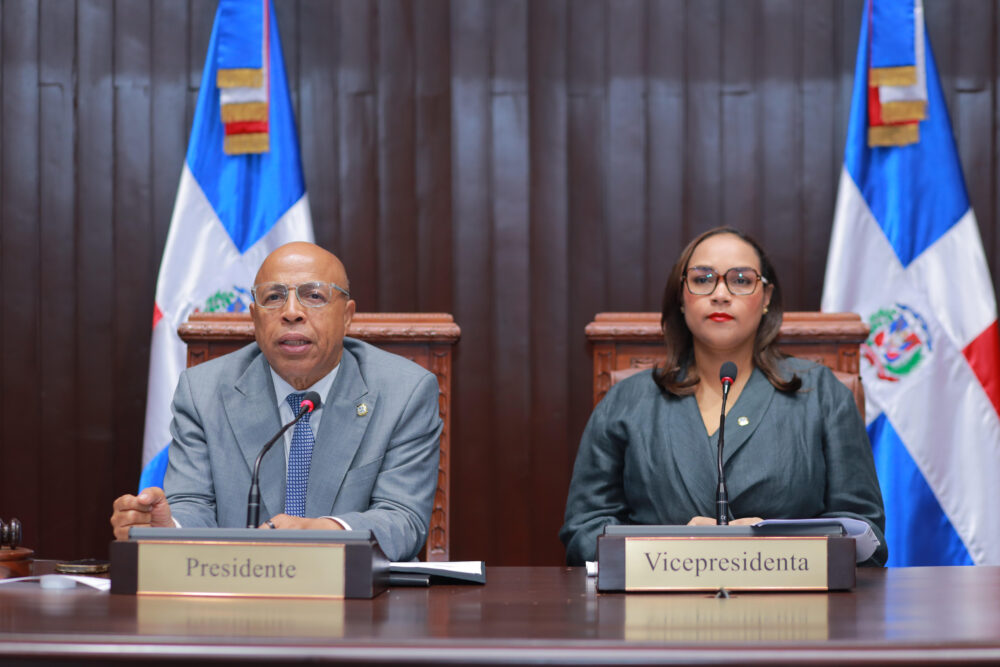 Diputados completan comisión bicameral para estudiar reforma orgánica de la Policía