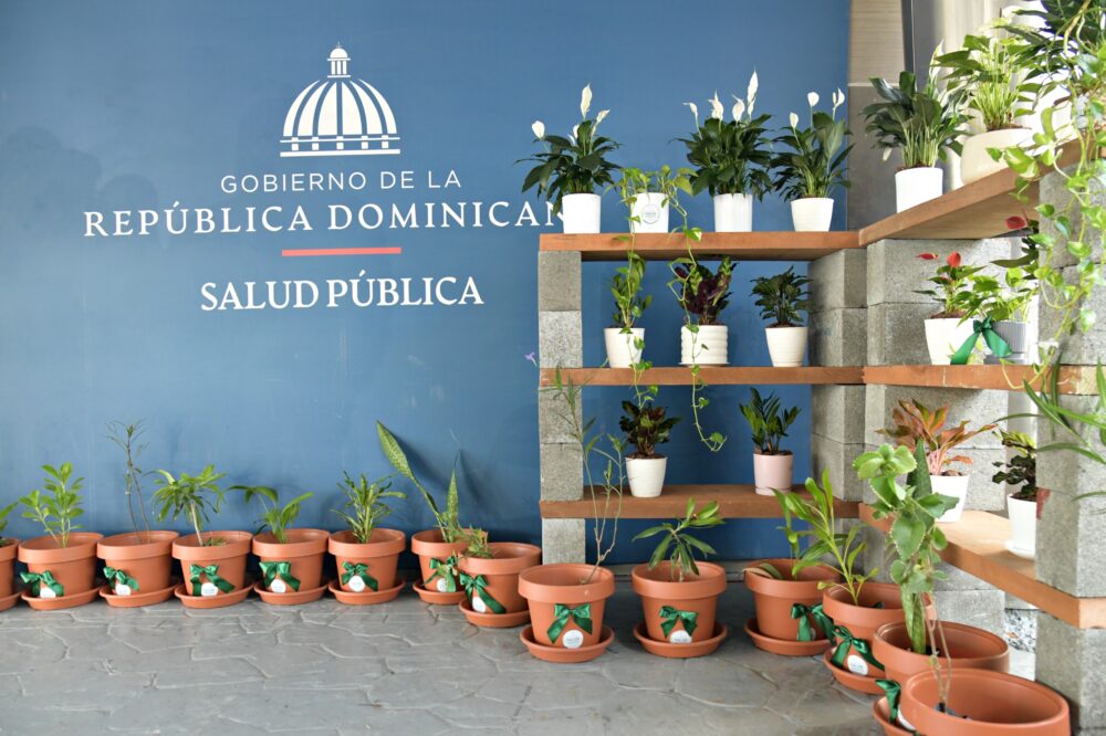 Salud Pública llama a fortalecer la protección ambiental para prevenir enfermedades
