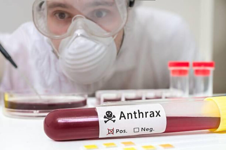 RD refuerza vigilancia ante sospechas de ántrax en Haití