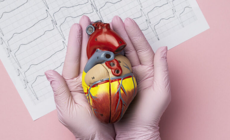 Obesidad y salud cardiovascular: por qué el riesgo va más allá del peso