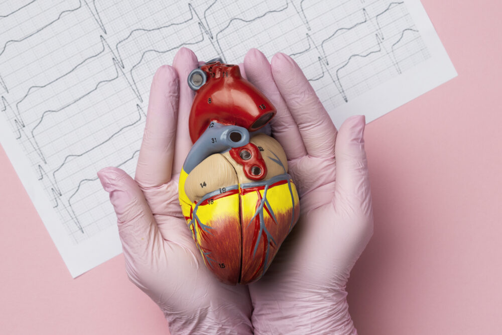 Obesidad y salud cardiovascular: por qué el riesgo va más allá del peso