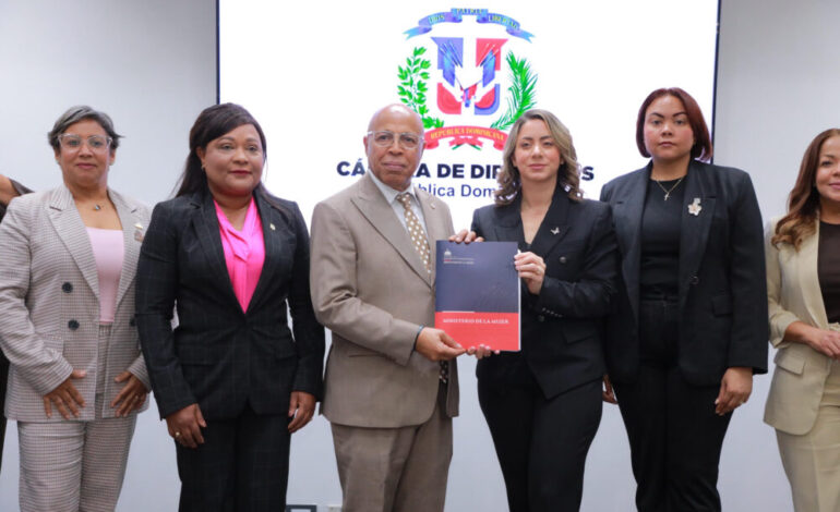 Cámara de Diputados recibe anteproyecto de la Ley Mirabal contra la violencia hacia las mujeres