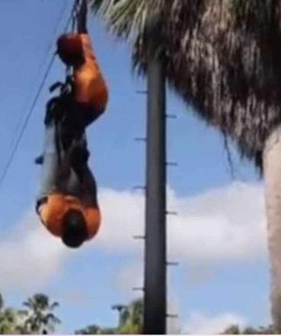 Jardín Botánico: visitante queda atrapado boca abajo en atracción