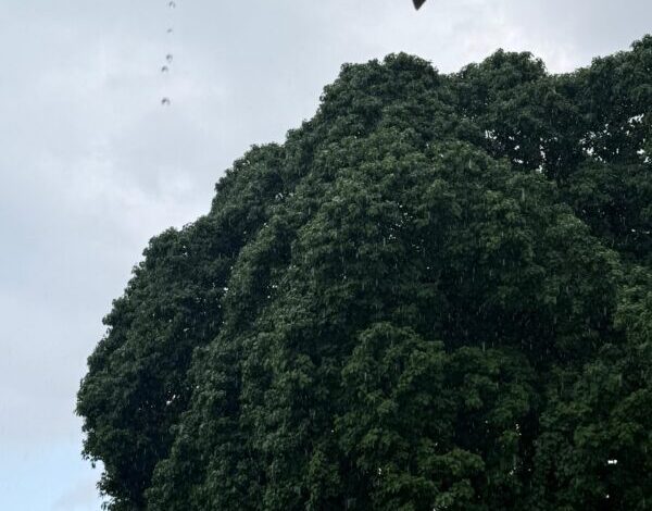 Lluvias en Santo Domingo: COE advierte sobre posibles inundaciones