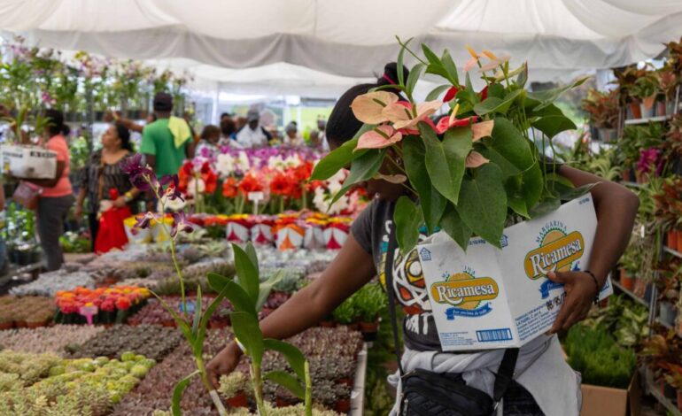 Jardín Botánico: flores, orquídeas y precios que atraen al público