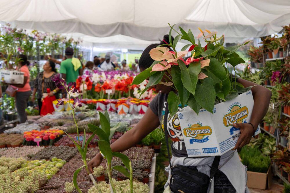Jardín Botánico: flores, orquídeas y precios que atraen al público